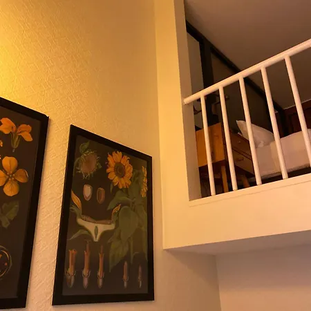 Szálloda Miapera & - Special Class 4*